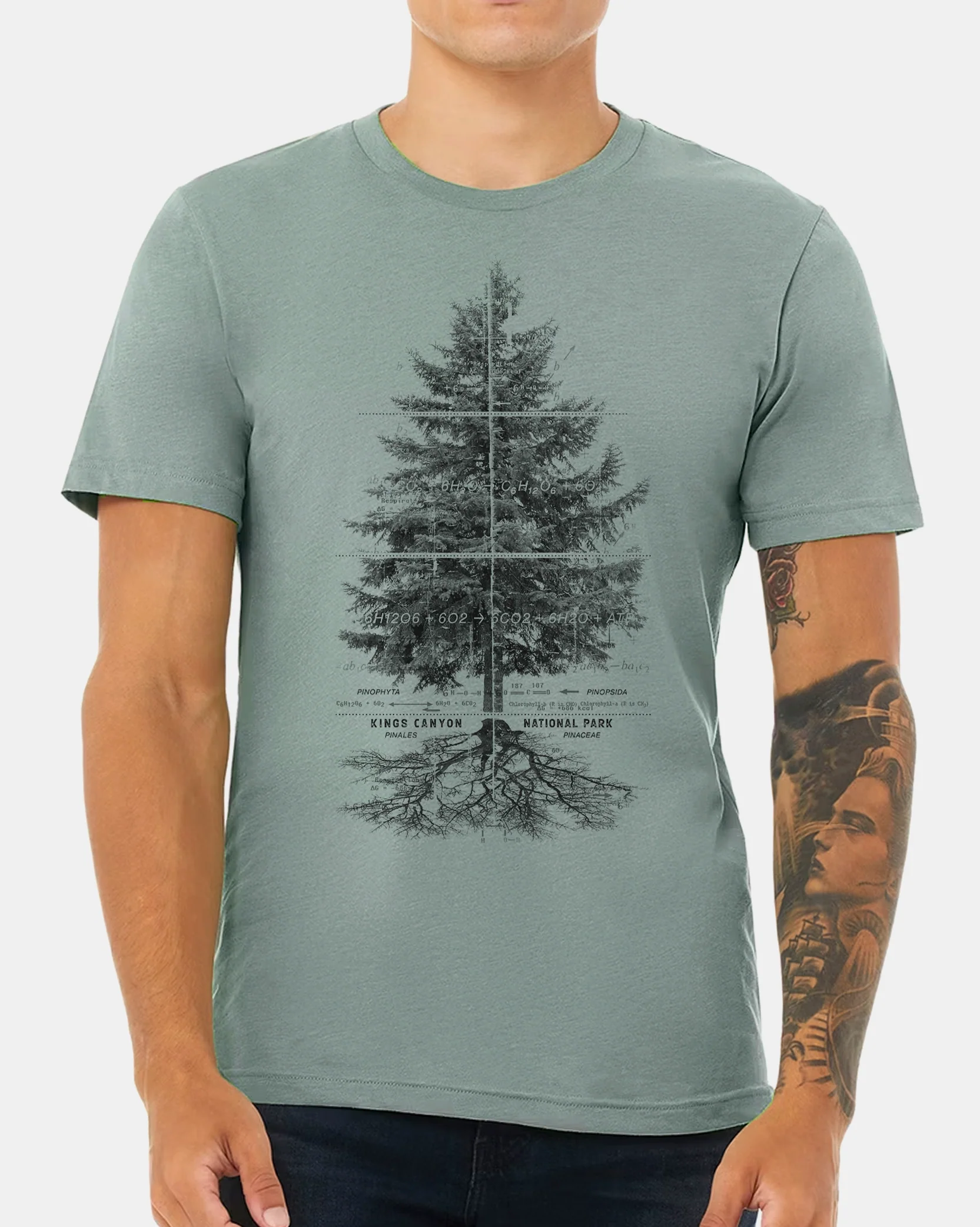 New Arrivals - T-Shirts